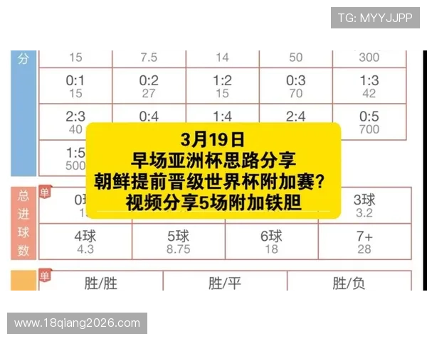 世界杯亚洲区预选赛晋级指南：详细解析晋级条件与关键战役